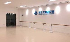 山东省青岛星之光舞蹈学苑舞蹈地板