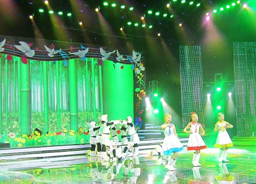 北京2013年央视少儿春晚舞台地板